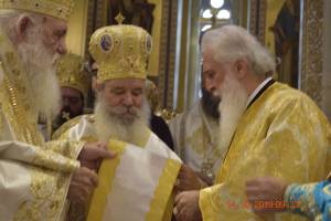 _dsc0180_optimized_original_copy_4