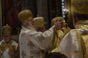 _dsc0200_optimized_original_copy_4