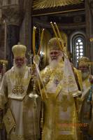 _dsc0223_optimized_original_copy_4