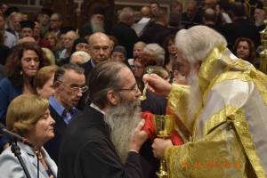 _dsc0353_optimized_original_copy_4