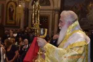 _dsc0366_optimized_original_copy_4