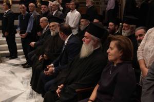 dimi6273_optimized_original_copy_4