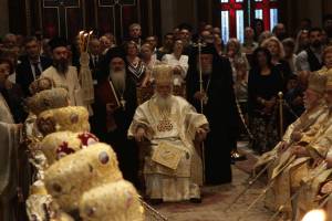 dimi6274_optimized_original_copy_4