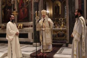 dimi6306_optimized_original_copy_4