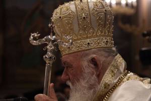 dimi6351_optimized_original_copy_4