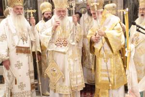 dimi6381_optimized_original_copy_4