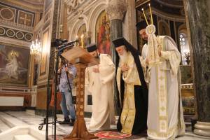 img_1162_optimized_original_copy_4