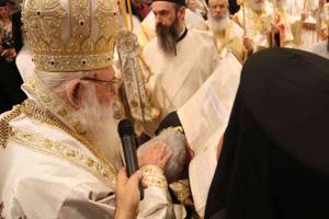 img_1181_optimized_original_copy_4