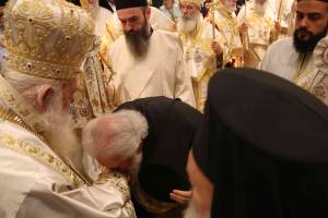 img_1184_optimized_original_copy_4