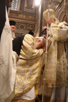 img_1304_optimized_original_copy_2