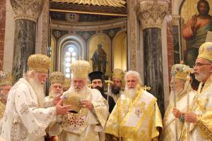 img_1409_optimized_original_copy_4