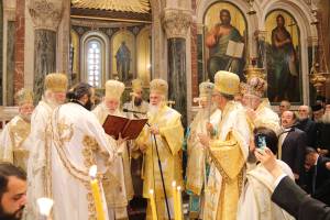 img_1419_optimized_original_copy_4