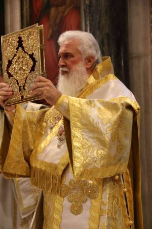 img_1503_optimized_original_copy_2