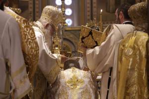 img_9804_optimized_original_copy_3