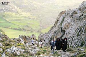 p02-1_optimized_original