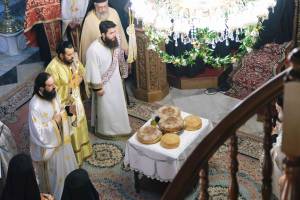 dscf6774_optimized_original