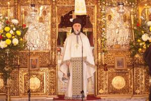 f-11_optimized_original