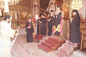 13_optimized_original