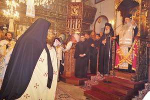 17_optimized_original