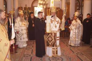 29_optimized_original