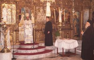 31_optimized_original