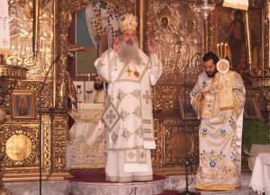 33_optimized_original