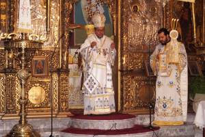 34_optimized_original