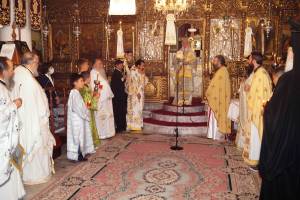 44_optimized_original