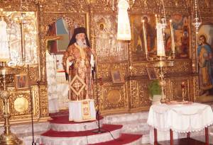 48_optimized_original