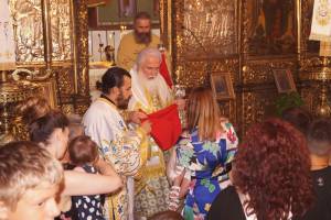 49_optimized_original