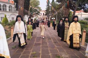 5_optimized_original