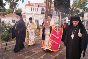 7_optimized_original