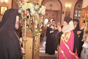 8_optimized_original