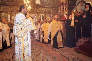 img_0456_optimized_original