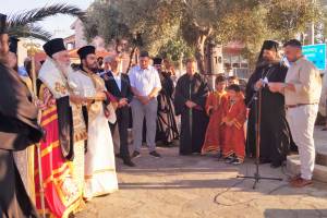 12_optimized_original