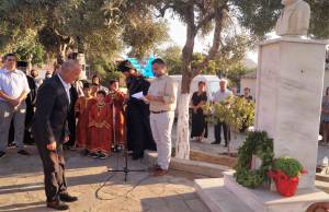 13_optimized_original