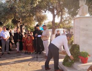 14_optimized_original