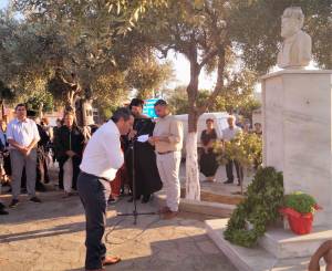 15_optimized_original