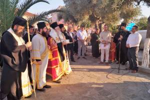 19_optimized_original