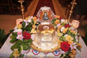 1_optimized_original