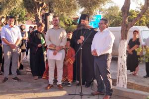 20_optimized_original