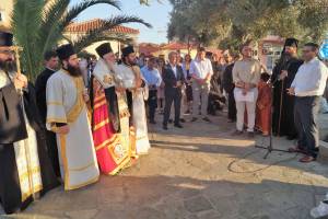 21_optimized_original