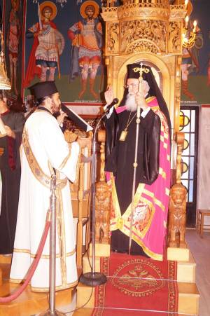 29_optimized_original