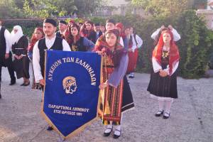 5_optimized_original