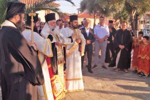 6_optimized_original