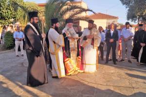 7_optimized_original