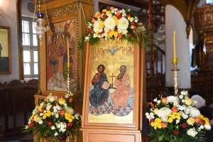 dsc_7917_optimized_original