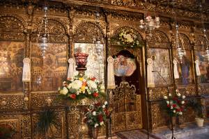 dsc_7922_optimized_original