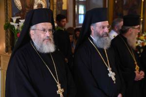 dsc_7937_optimized_original