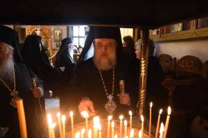 dsc_7958_optimized_original